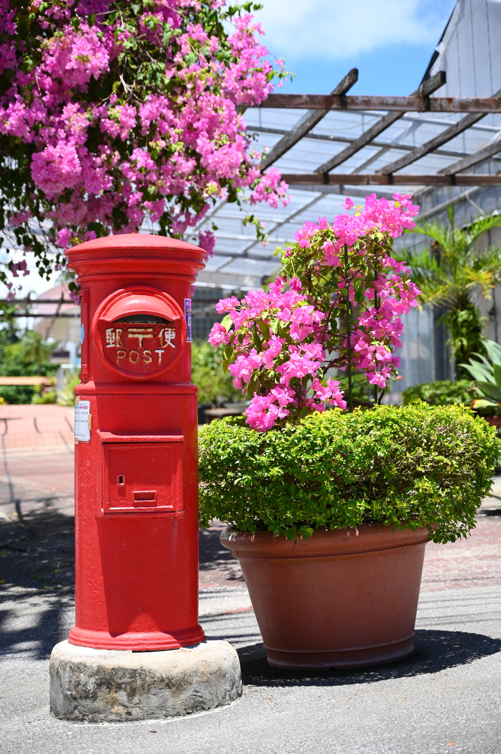 沖縄出張10_東南植物楽園