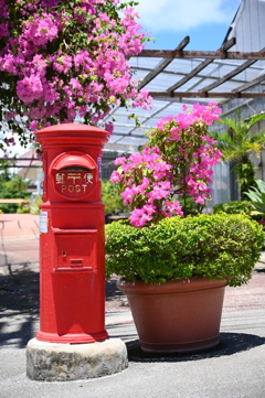 沖縄出張10_東南植物楽園