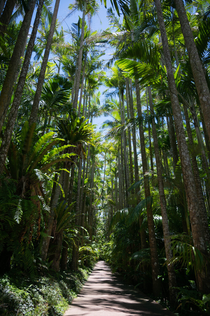 沖縄出張05_東南植物楽園