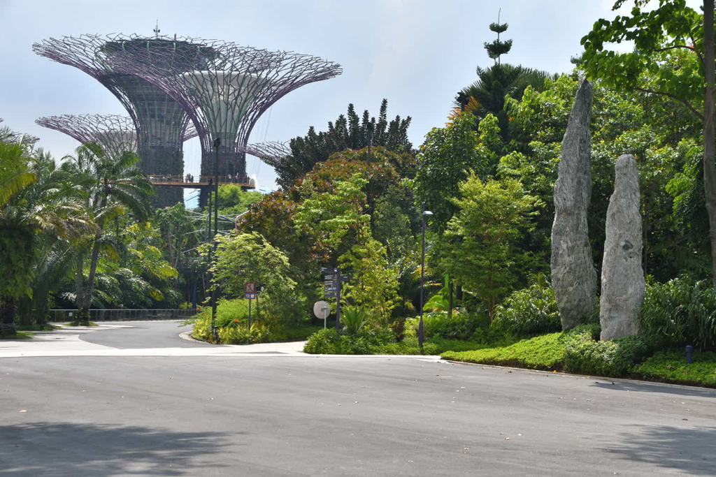 出張8日目 ガーデンベイザサン