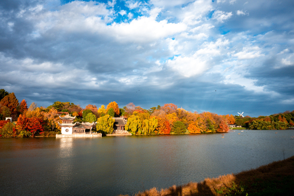 20251203_大阪出張‗DSC_3640-2