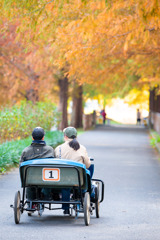 加須はなさき公園_20251124_DSC_3445-2