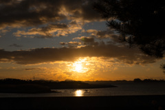 20251218 仙台出張 DSC_3966-2