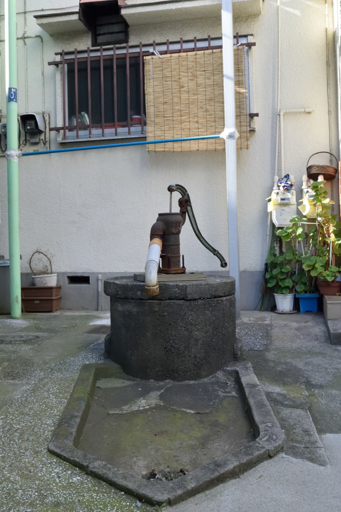 DSC_4727