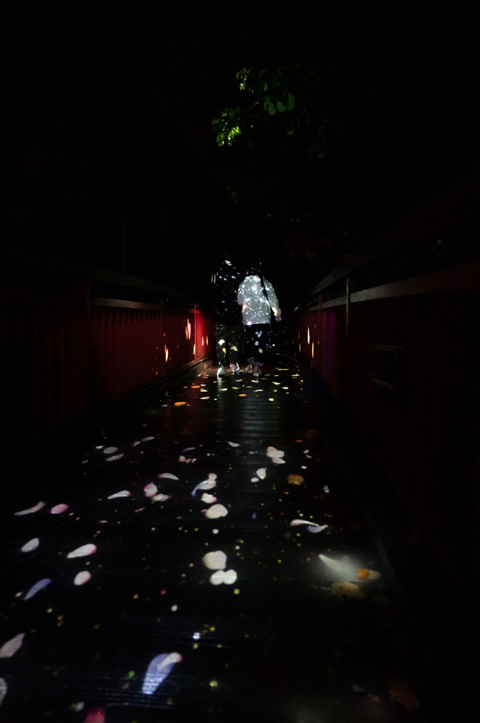 20250925_北海道出張_JOZANKEI NATURE LUMINARIE