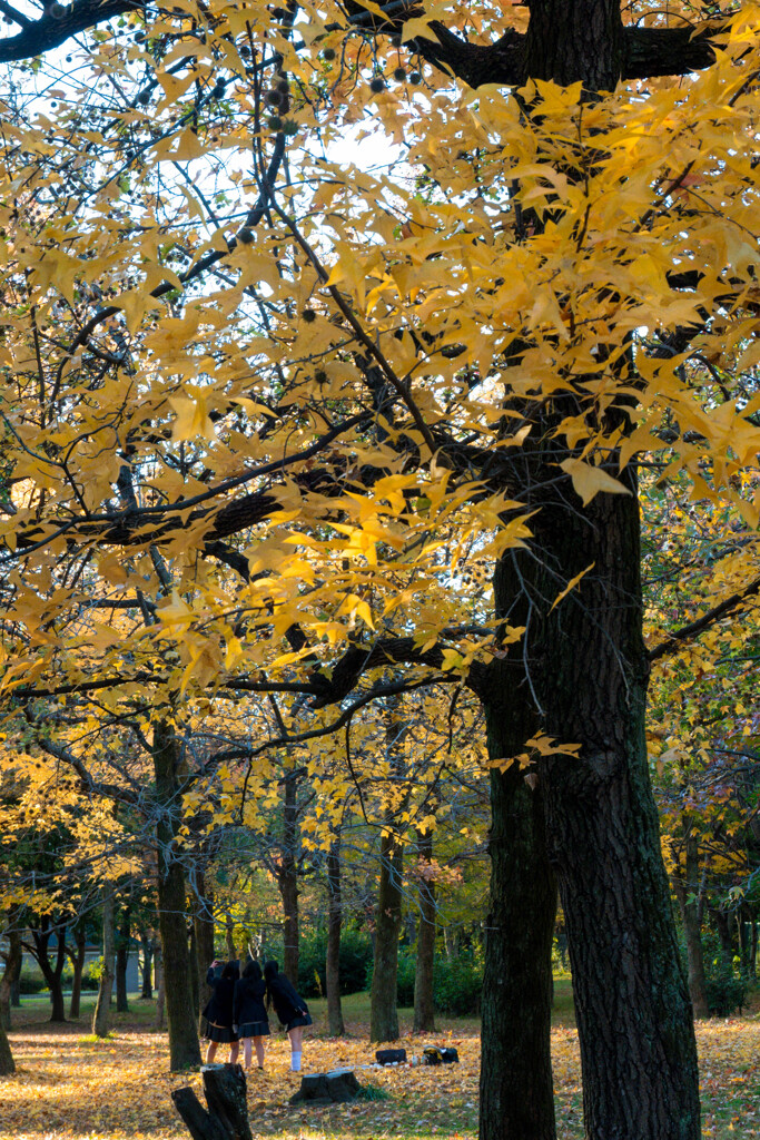 20251203_大阪出張‗DSC_3679-2