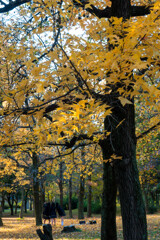 20251203_大阪出張‗DSC_3679-2