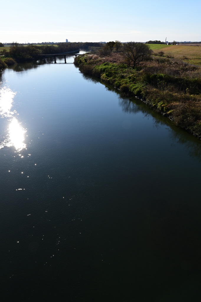 渡良瀬遊水地 20211205_01