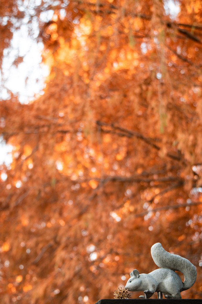 加須はなさき公園_20251130_DSC_9683