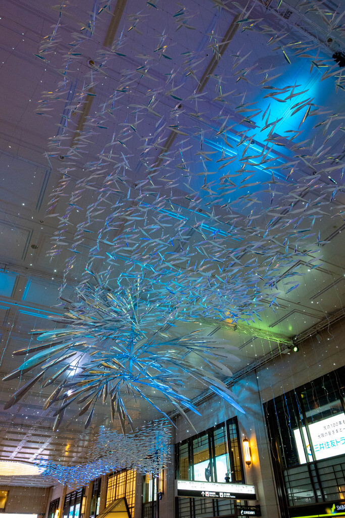 20251203_大阪出張‗DSC_3565-2