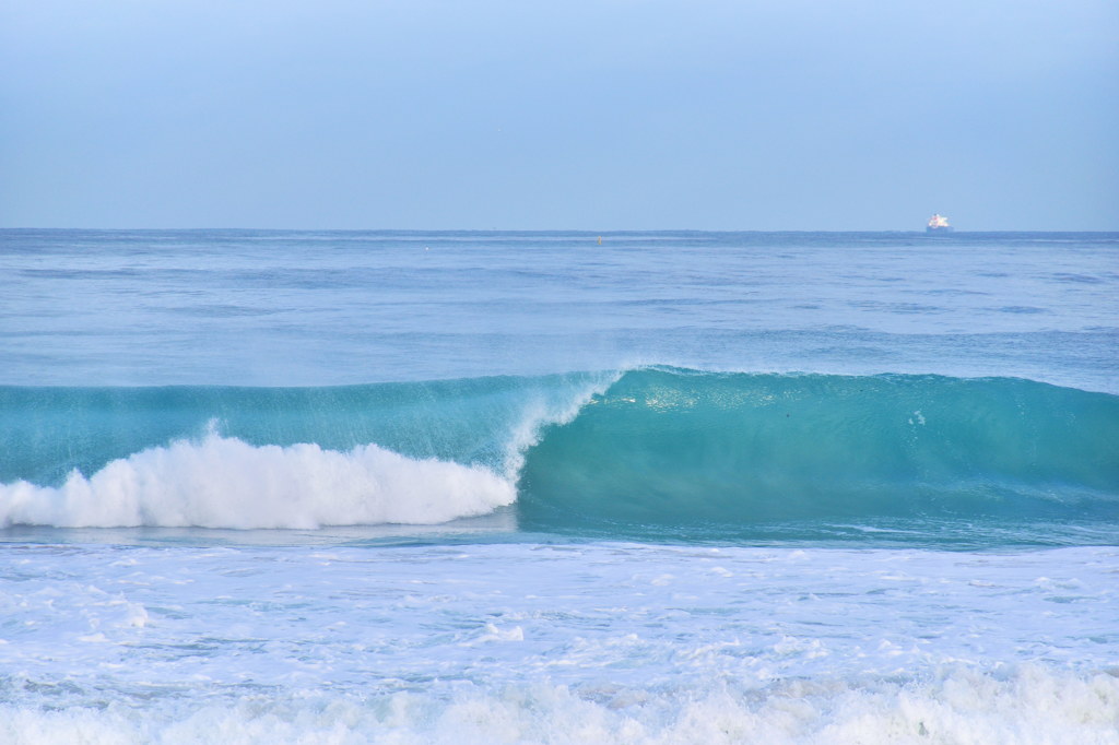 DSC_1984
