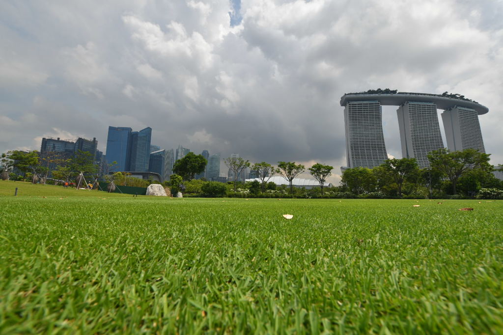 出張8日目 ガーデンベイザサン 芝生に寝そべる
