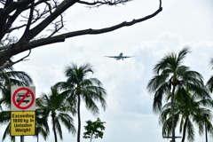 出張33日目 チャンギビーチパーク