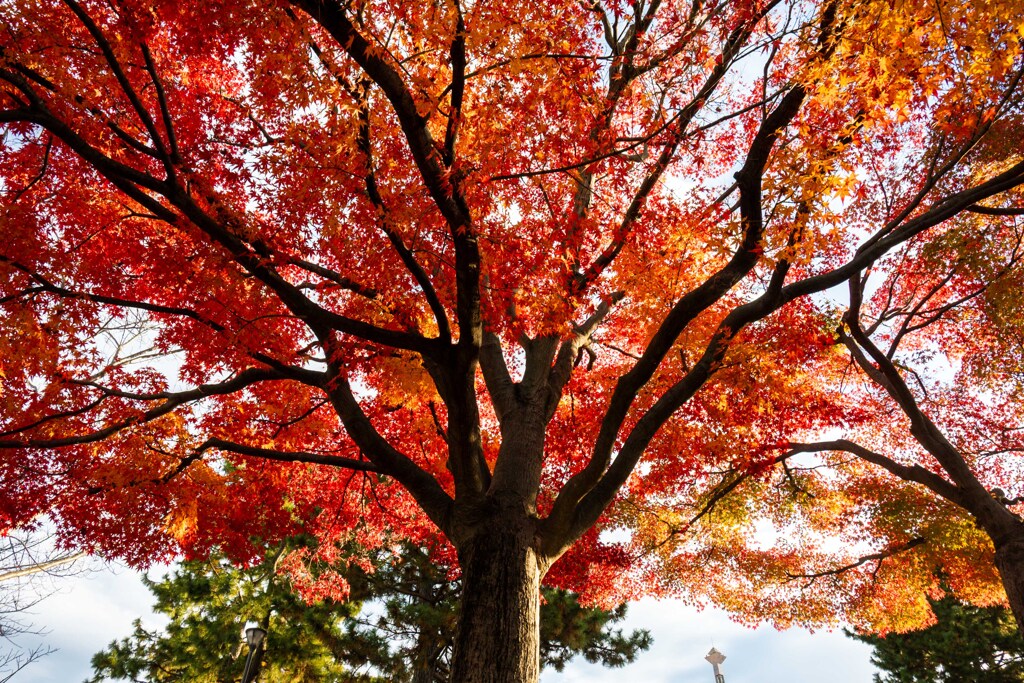 20251203_大阪出張‗DSC_3613-2