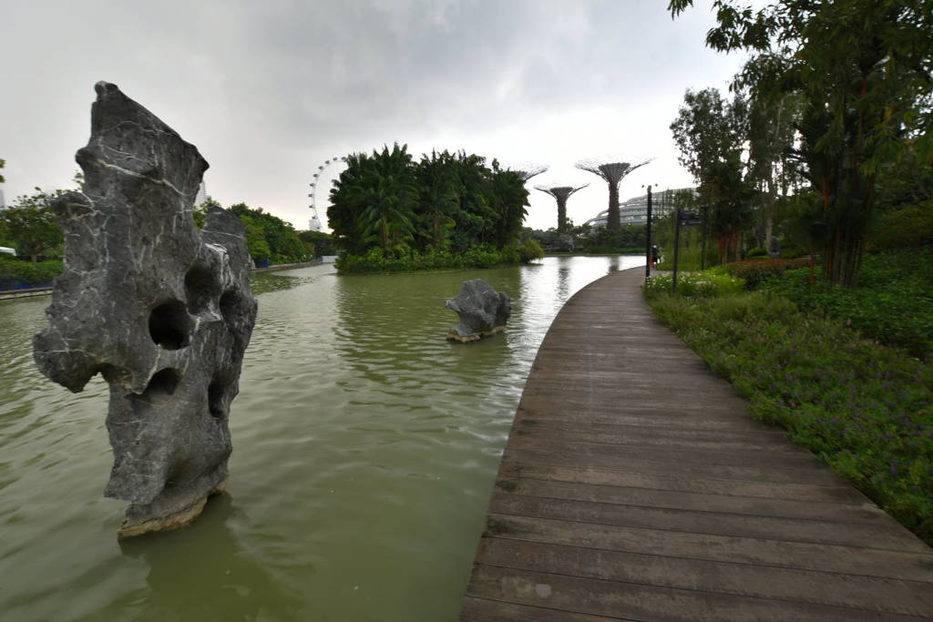 出張8日目 ガーデンバイザベイ