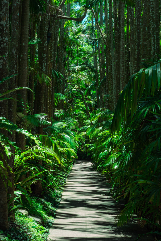 沖縄出張06_東南植物楽園