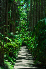 沖縄出張06_東南植物楽園