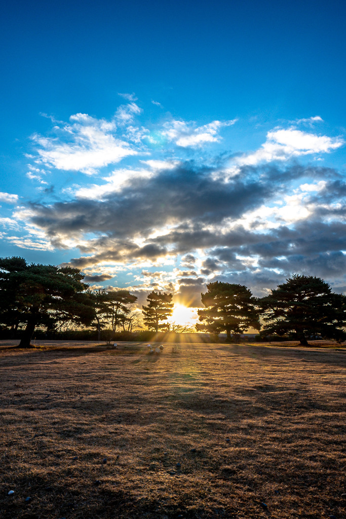 20251218 仙台出張 DSC_3974-2