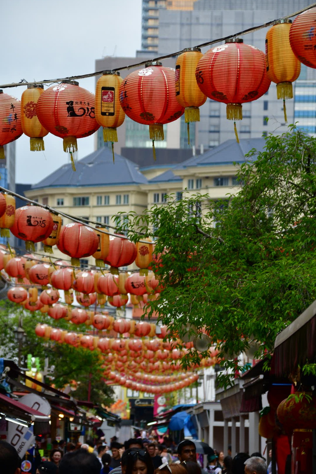 出張16日目 チャイナタウン
