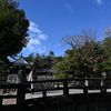 出張 高知 20211218_1