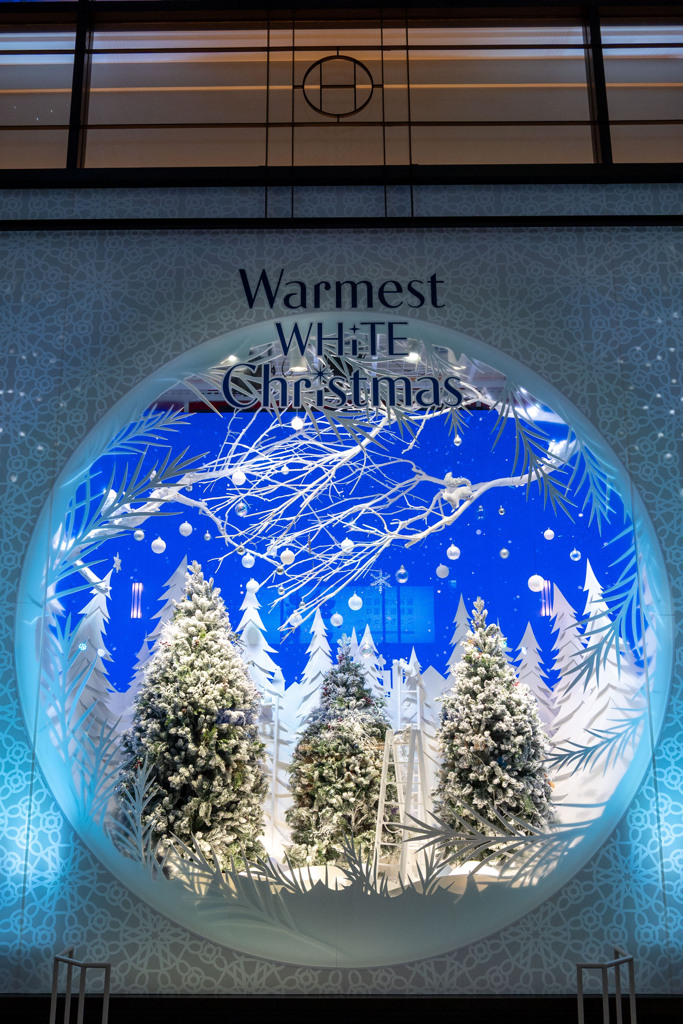 20251203_大阪出張‗DSC_3560-2