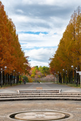 20251203_大阪出張‗DSC_3576-2