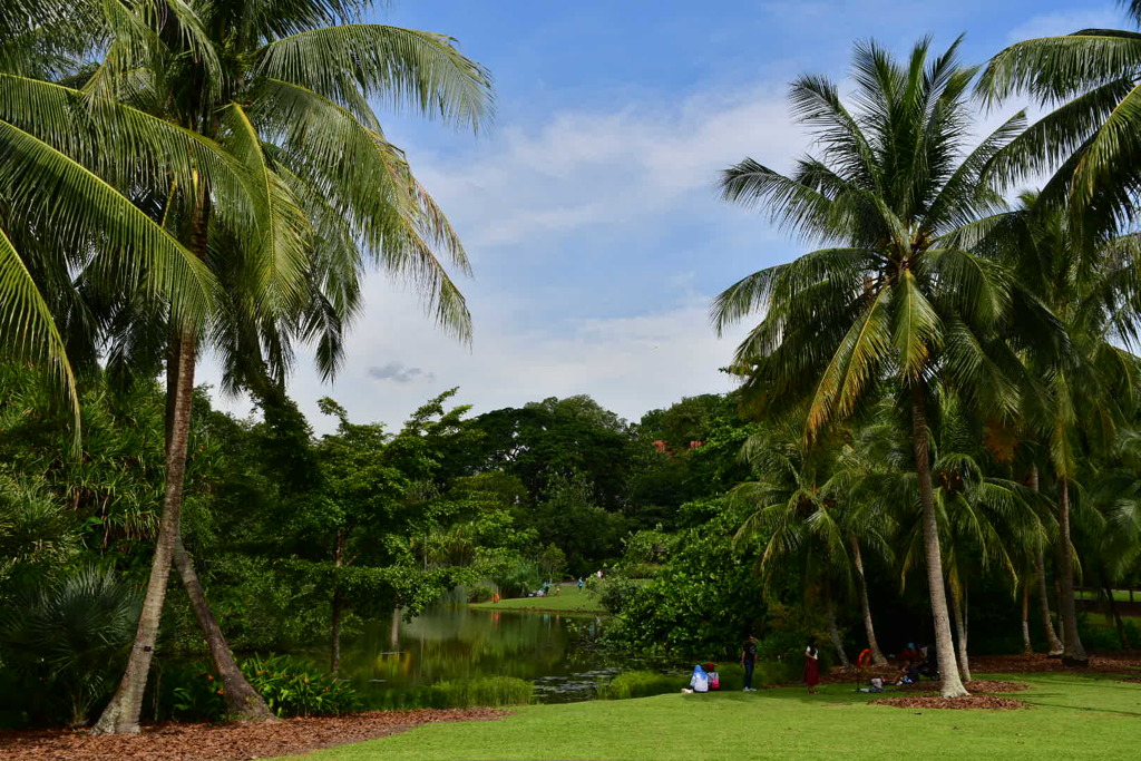 出張16日目 シンガポール植物園