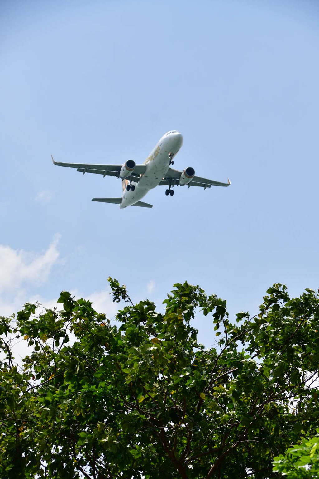 出張26日目 チャンギビーチパーク