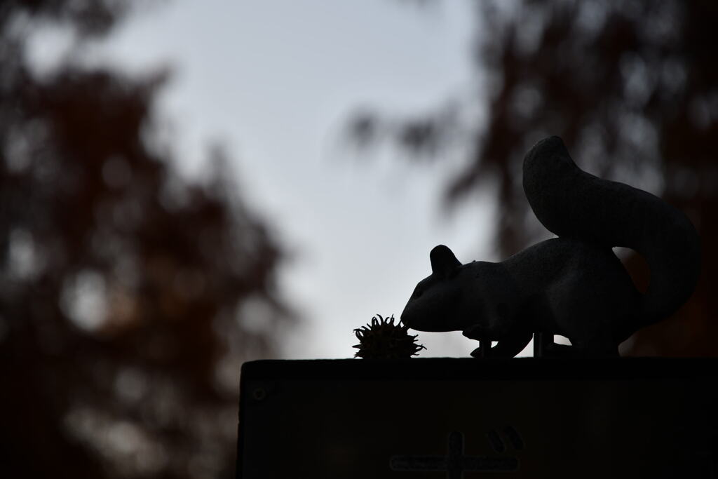 加須はなさき公園_20251130_DSC_9684