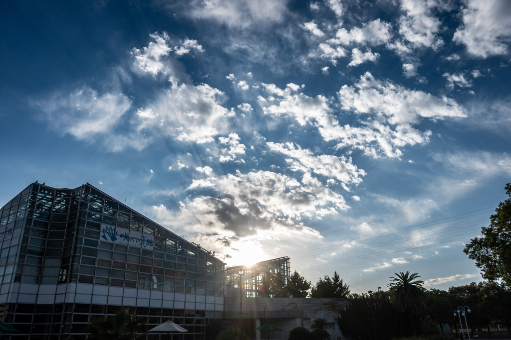 20251203_大阪出張‗DSC_3658-2