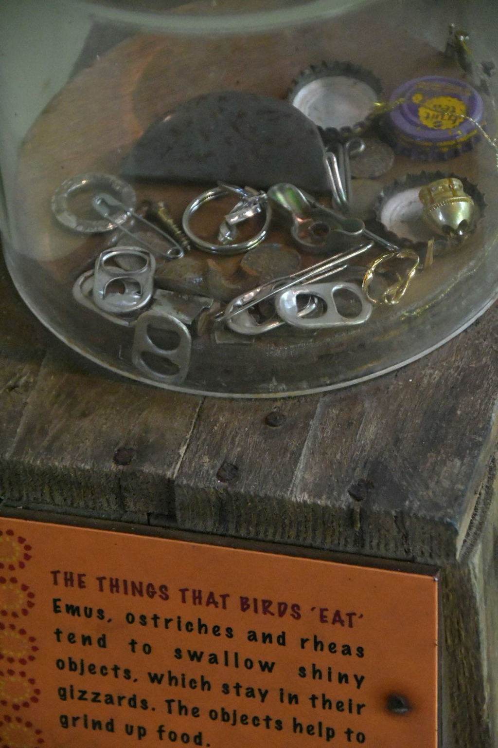 出張5日目 シンガポール動物園