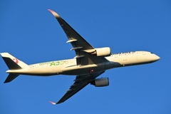 沖縄出張35_那覇空港