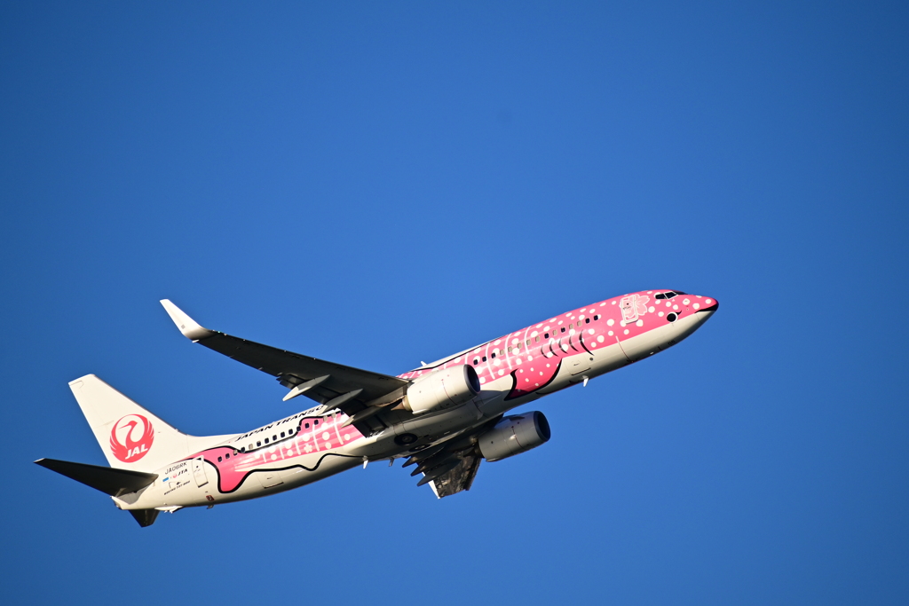 沖縄出張32_那覇空港