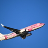 沖縄出張32_那覇空港
