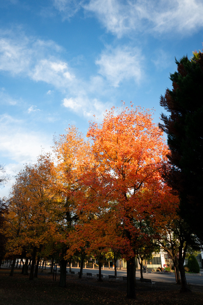 20251203_大阪出張‗DSC_3681-2