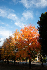 20251203_大阪出張‗DSC_3681-2