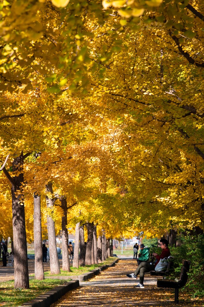 加須はなさき公園_20251116_DSC_3403-2