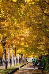加須はなさき公園_20251116_DSC_3403-2