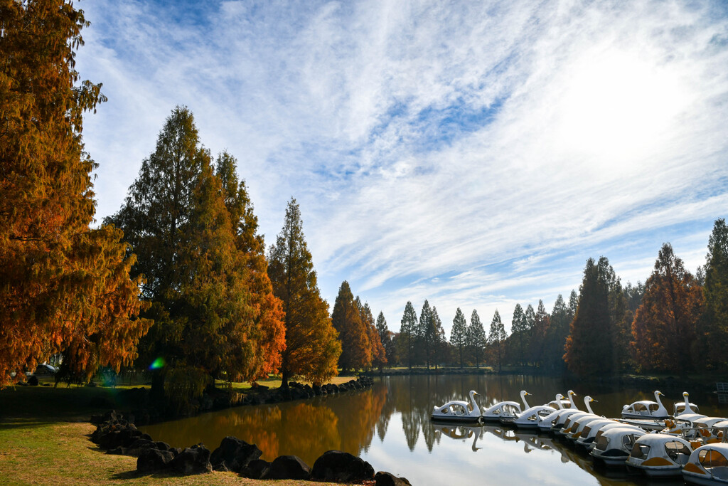 加須はなさき公園_20251124_DSC_9627-2