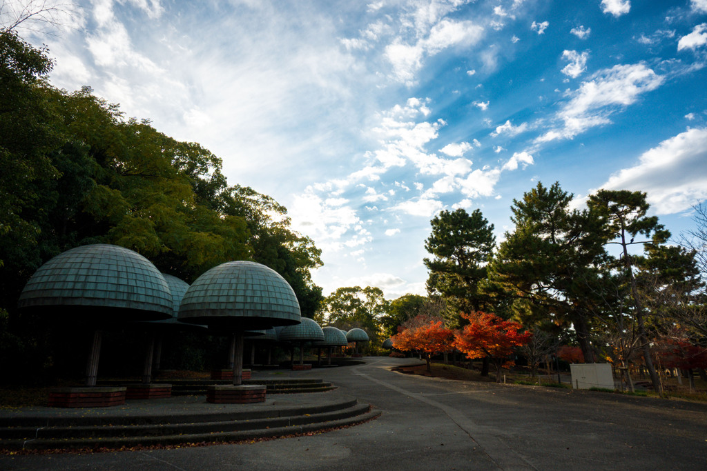 20251203_大阪出張‗DSC_3591-2
