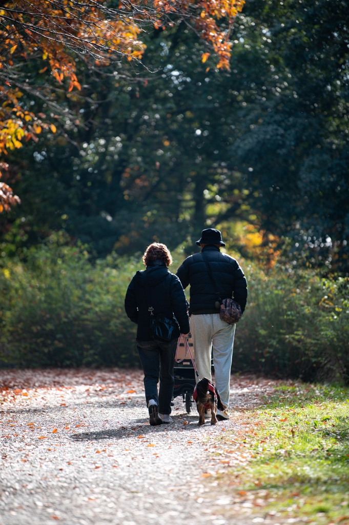 加須はなさき公園_20251124_DSC_3481-2