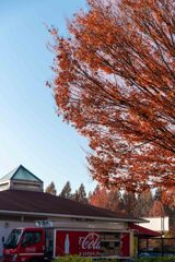 加須はなさき公園_20251130_DSC_9672-2