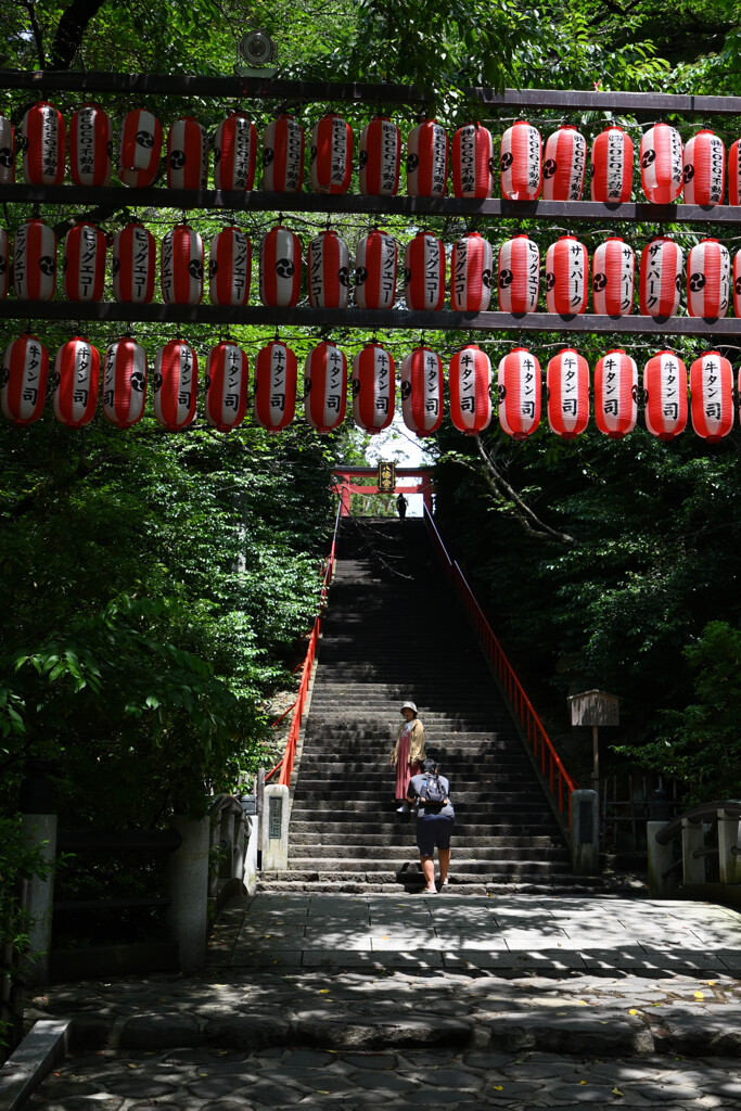 20250715_仙台出張_国宝 大崎八幡宮_DSC_1522_2
