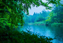 軽井沢の旅