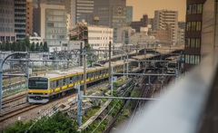 東京血管
