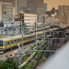 東京血管