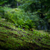 DSC05931-1