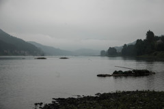 山に入る