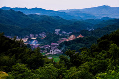 山に入る