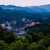 山に入る